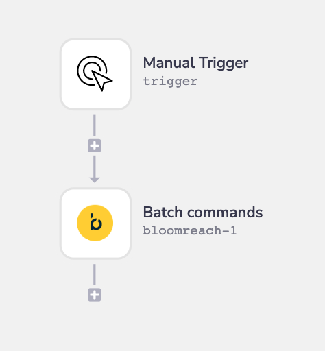 Bloomreach workflow overview
