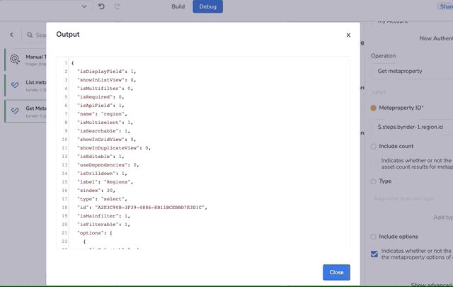 bynder-metaproperty-output