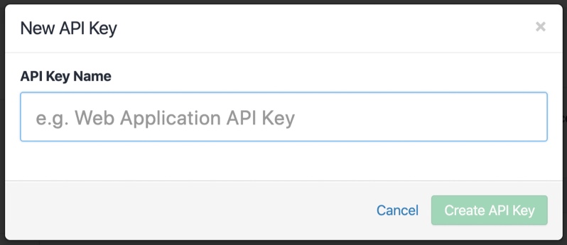 name-your-api-key