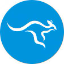 Qualaroo icon